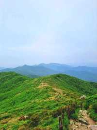 Deogyusan National Park, Hike, Freeze, Repeat (But Worth It)