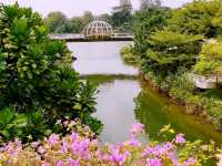 Canopy Bridge