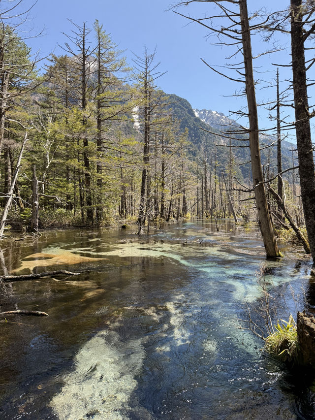 Kamikochi May 2025