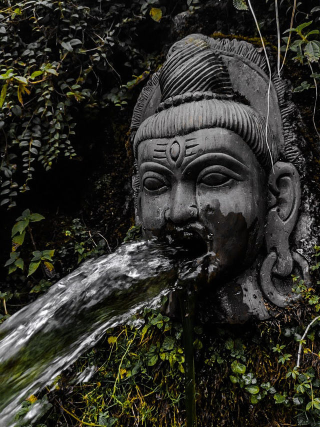 Shivapuri best hike near Kathmandu 