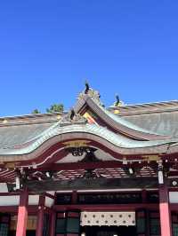  🇯🇵【福井・敦賀｜北陸最被低估的小城之一】