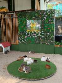 Unexpected Coffee Escape: Nature Meets Noms in Desaru
