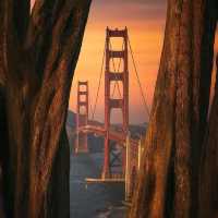 The Golden Gate Bridge is an engineering marvel and an iconic symbol of San Francisco