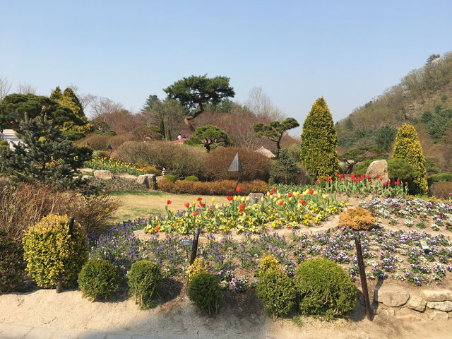봄의 수목원