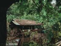 เดินป่า 5 วัน 4 คืน ที่แม่ฮ่องสอน Doister Hardtrek