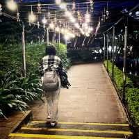 Hoi An Summer Escape: 4D3N Free & Easy Itinerary