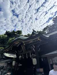 에노시마 여행기 여행코스 추천🍣🎎🎏🏯
