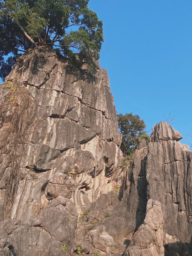 สวนหินผางาม ( คุณหมิงเมืองไทย)