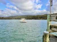 Still waters and slow moments: a gentle walk through Dunalley’s foreshore