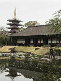 【東京　浅草寺と伝法院庭園、にぎわう寺町を歩く】