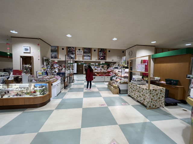 🍎 Apple Wonderland in Hirosaki – A Family Delight!