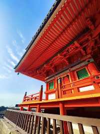 โอซาก้า🇯🇵
