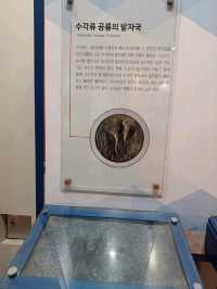 카메라 들고 떠나는 풍경 사진 명소