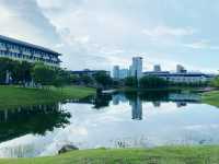 The University of Macau