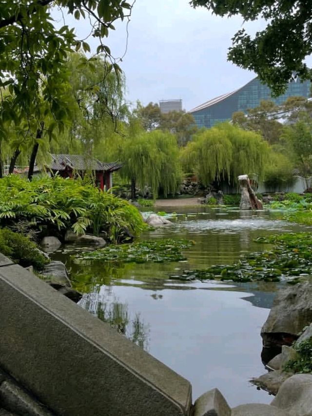 🍃✨ Chinese Garden, Singapore – Hidden Gem 🏯