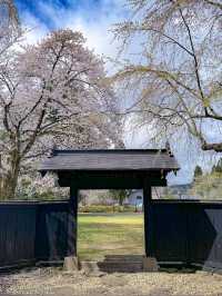 หมู่บ้านซามูไร Kakunodate (角館) – เมืองเล็ก ๆ ในจัง