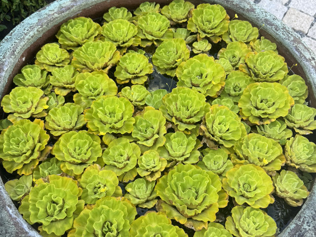 江賢二藝術園區，快被清水模加上畫作美暈