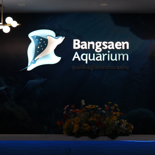 Bangsaen Aquarium เที่ยวชิล ๆ ได้ความรู้ไปด้วย 