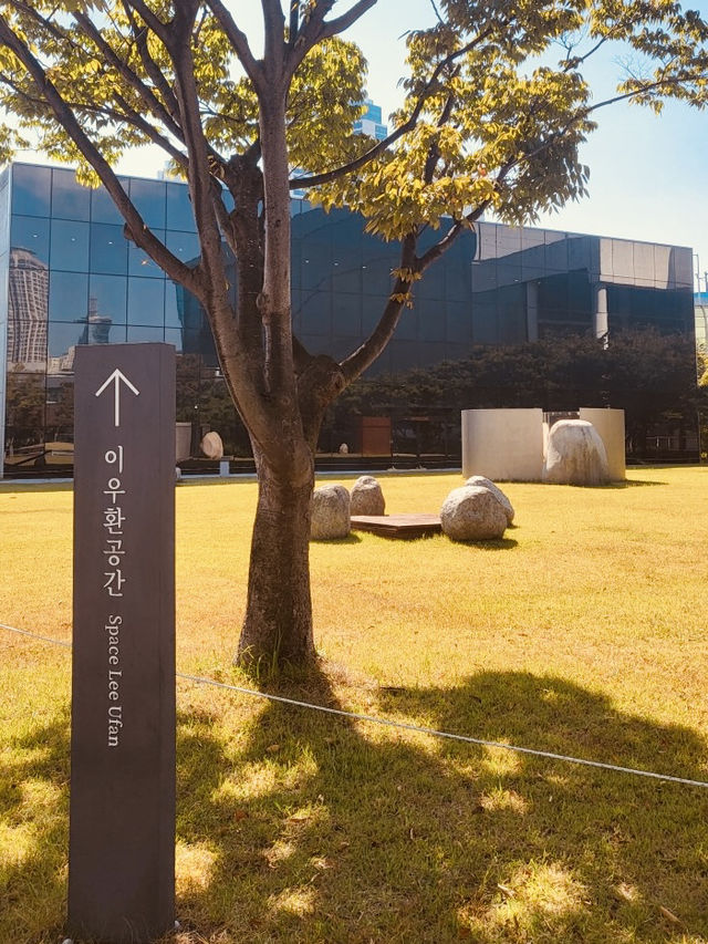 Busan Museum of Art: A Modern Hub for Artistic Exploration