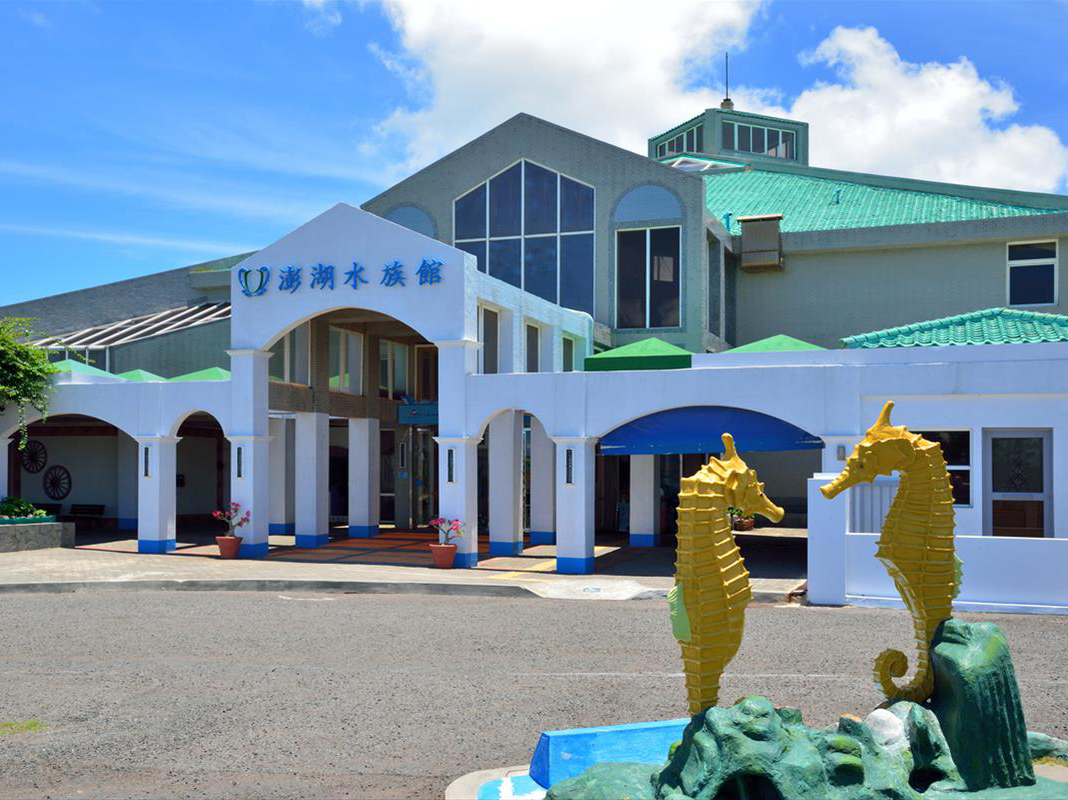 Explore the underwater micro-world of Penghu at this small yet impactful aquarium