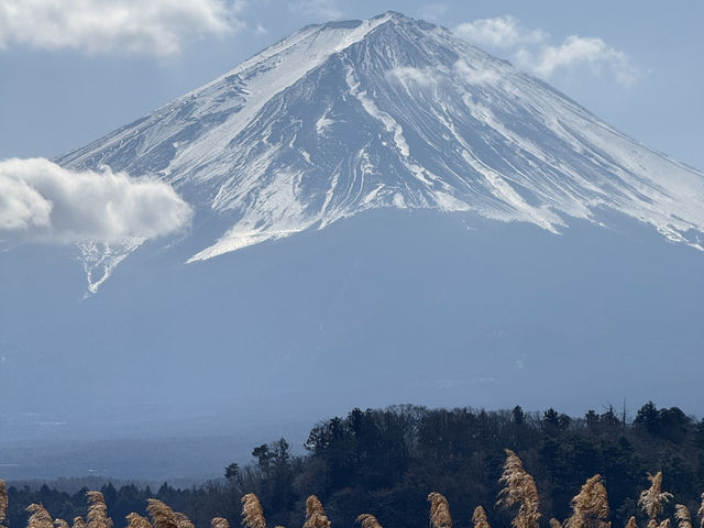 🏞️✨河口湖小旅行｜富士山的藍與金🌟