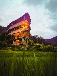 Giant Bamboo Hut เชียงใหม่