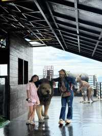 Very fascinating view..and the kids love the swimming pool