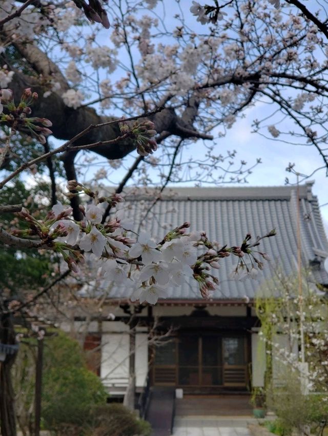 【三重】九華公園