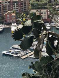 摩納哥（Monaco）奢華迷你公國深度指南  ——F1賽道、億萬遊艇與懸崖皇宮的極致體驗