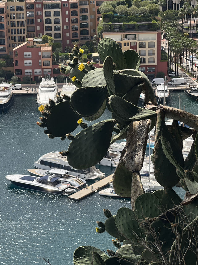 摩納哥（Monaco）奢華迷你公國深度指南  ——F1賽道、億萬遊艇與懸崖皇宮的極致體驗