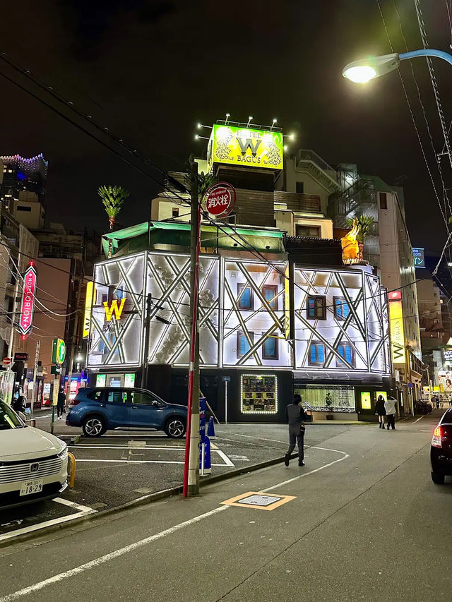 Neon Alleyways: Secrets of Shinjuku Golden Gai