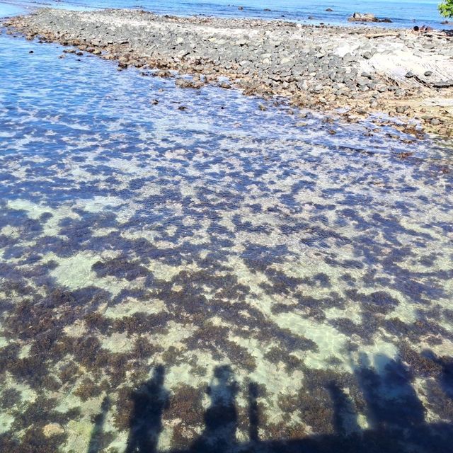沙巴天堂島一日遊 🏝
