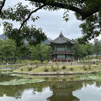 경복궁, 궁을 가다