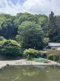 自然豊かな養老渓谷オススメスポット
