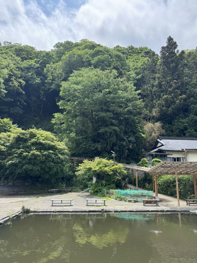 自然豊かな養老渓谷オススメスポット