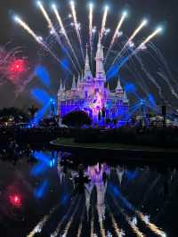 Shanghai Disneyland for the Young & Young at Heart