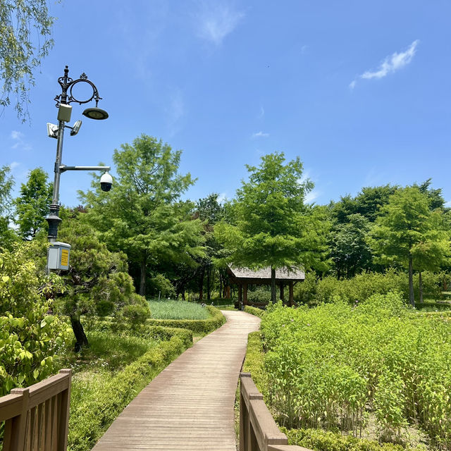 푸릇푸릇한 자연 속에서의 산책, 대전 한밭수목원 🌳