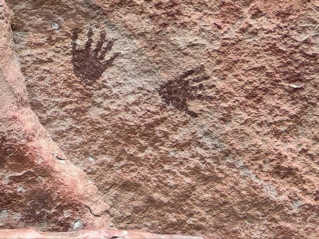 Cave Art & Jungle Vibes