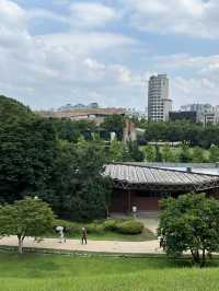 올림픽 공원을 거닐며 야외 데이트