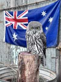 Beautiful Perth on June 2025