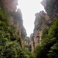 Rainy Days in Zhangjiajie