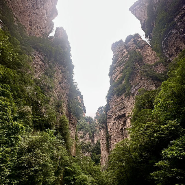 Rainy Days in Zhangjiajie