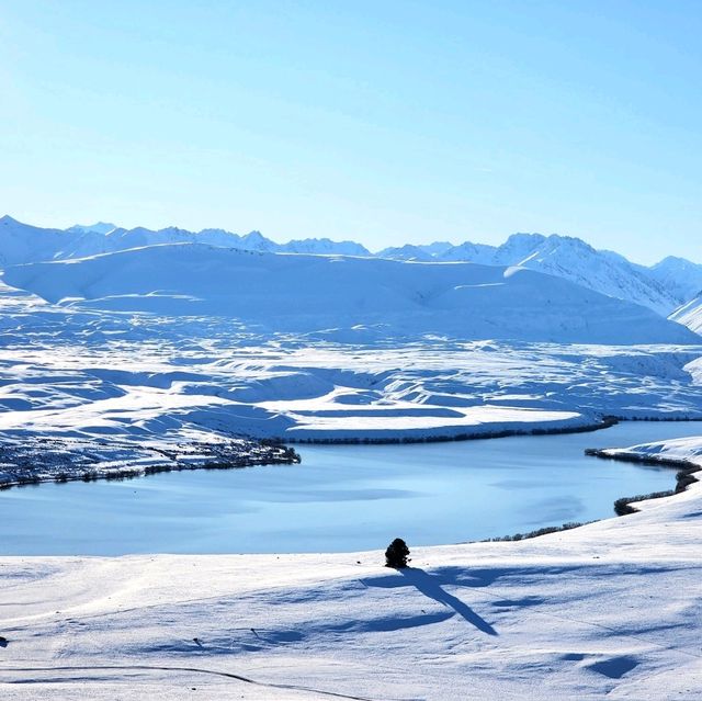 Winter Wonderland in Tekapo New Zealand!