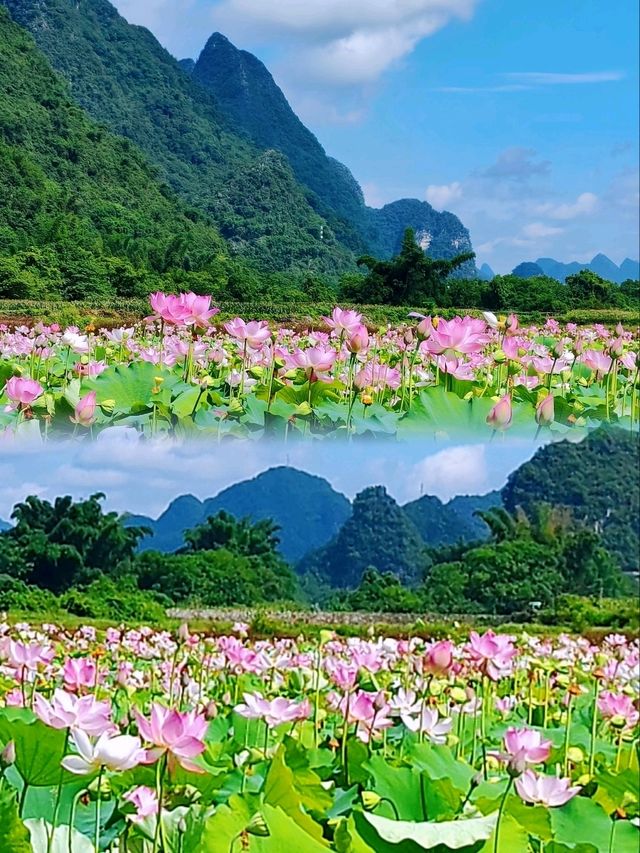 遇龍河十里畫廊騎行