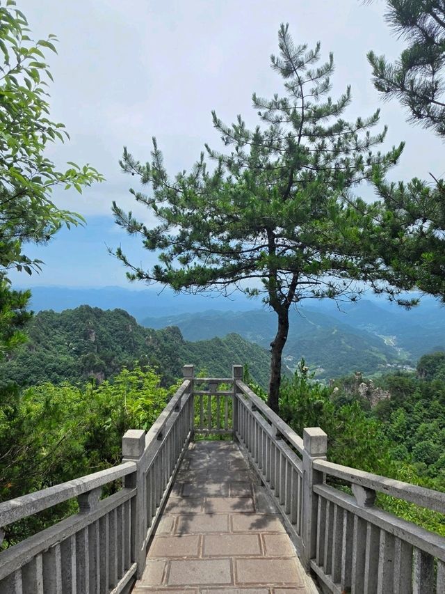 Zhangjiajie National Forest Park rocks!! 🏞