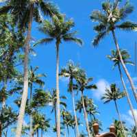 Hon Thom Island (Phu Quoc)