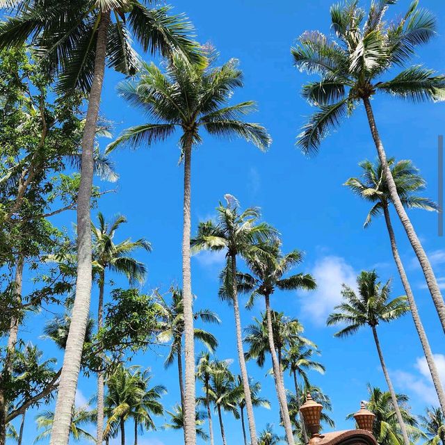 Hon Thom Island (Phu Quoc)