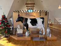 🧀 Say Cheese in Furano! A Delightful Dairy Stopover