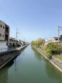 🌿 A Day by the Kamo River: Kyoto’s Calm in Motion 🏞️⛅