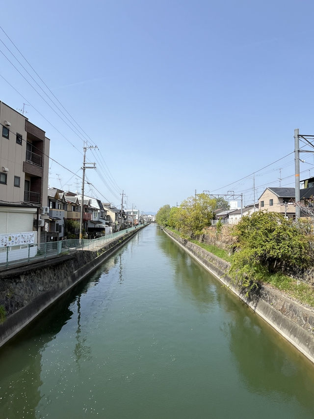🌿 A Day by the Kamo River: Kyoto’s Calm in Motion 🏞️⛅
